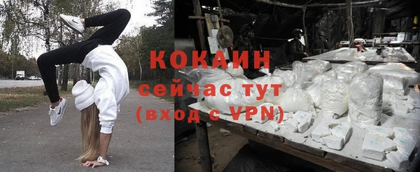a pvp Алзамай