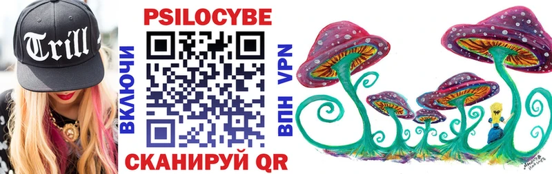 Псилоцибиновые грибы Cubensis  Лодейное Поле 